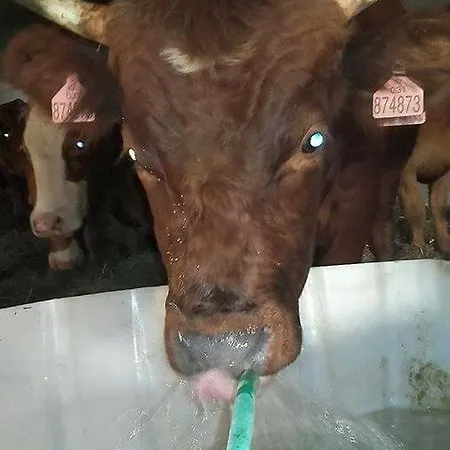 Farma Nahlov * Frymburk